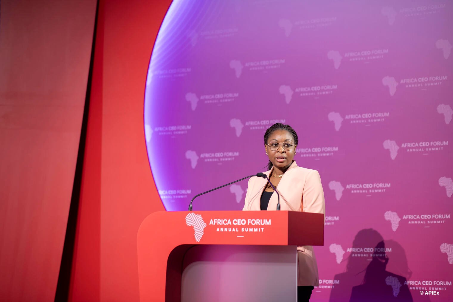 Le Bénin mise sur l’investissement privé 